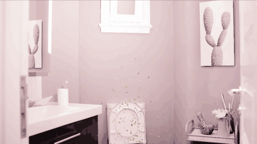 Aerosol bacteria spread from toilet flush