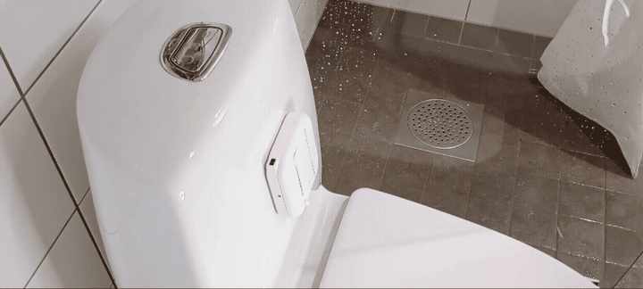 Automatic lid closing before flush